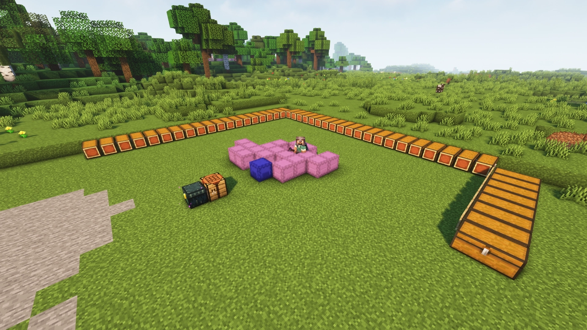 An incomplete rectangular arrangement of double chests with item frames on them, with a mess of shulker boxes in between and me standing on top of them